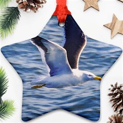 Seagull Flying Over Sea, Montevideo, Uruguay Star Ornament (two Sides) by dflcprintsclothing