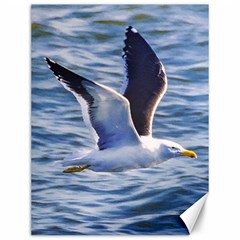 Seagull Flying Over Sea, Montevideo, Uruguay Canvas 12  X 16  by dflcprintsclothing