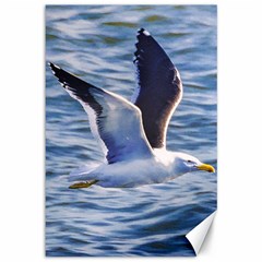 Seagull Flying Over Sea, Montevideo, Uruguay Canvas 12  X 18  by dflcprintsclothing