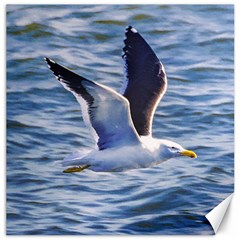 Seagull Flying Over Sea, Montevideo, Uruguay Canvas 16  X 16  by dflcprintsclothing