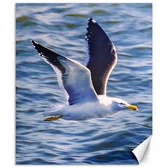 Seagull Flying Over Sea, Montevideo, Uruguay Canvas 20  X 24 