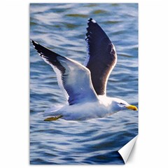 Seagull Flying Over Sea, Montevideo, Uruguay Canvas 24  X 36  by dflcprintsclothing