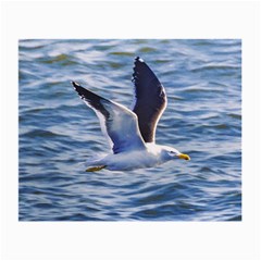 Seagull Flying Over Sea, Montevideo, Uruguay Small Glasses Cloth (2 Sides) by dflcprintsclothing