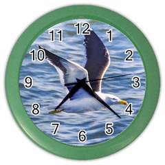 Seagull Flying Over Sea, Montevideo, Uruguay Color Wall Clock