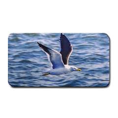 Seagull Flying Over Sea, Montevideo, Uruguay Medium Bar Mats by dflcprintsclothing