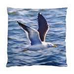 Seagull Flying Over Sea, Montevideo, Uruguay Standard Cushion Case (One Side) Front