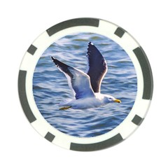 Seagull Flying Over Sea, Montevideo, Uruguay Poker Chip Card Guard (10 Pack) by dflcprintsclothing