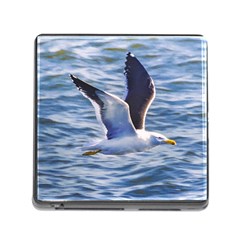 Seagull Flying Over Sea, Montevideo, Uruguay Memory Card Reader (square 5 Slot) by dflcprintsclothing