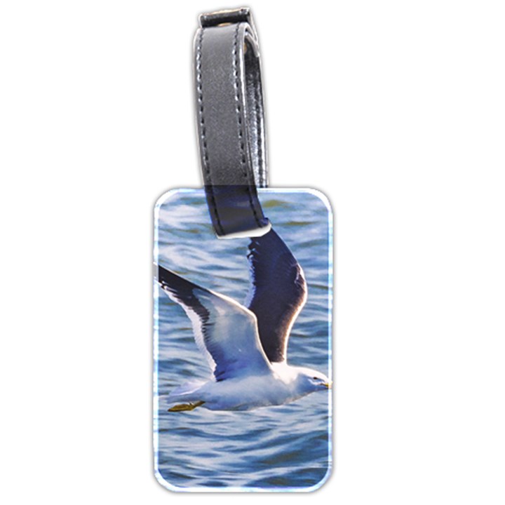 Seagull Flying Over Sea, Montevideo, Uruguay Luggage Tag (two sides)