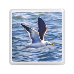 Seagull Flying Over Sea, Montevideo, Uruguay Memory Card Reader (square) by dflcprintsclothing