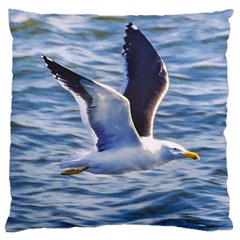 Seagull Flying Over Sea, Montevideo, Uruguay Large Cushion Case (two Sides) by dflcprintsclothing