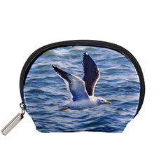 Seagull Flying Over Sea, Montevideo, Uruguay Accessory Pouch (small) by dflcprintsclothing