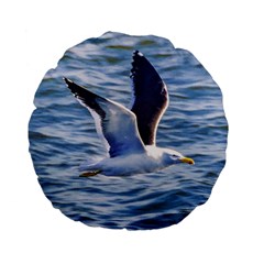 Seagull Flying Over Sea, Montevideo, Uruguay Standard 15  Premium Flano Round Cushions by dflcprintsclothing