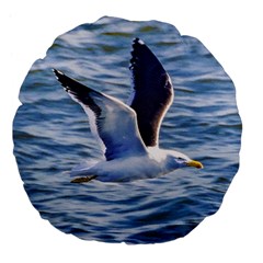 Seagull Flying Over Sea, Montevideo, Uruguay Large 18  Premium Flano Round Cushions by dflcprintsclothing