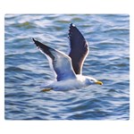 Seagull Flying Over Sea, Montevideo, Uruguay Double Sided Flano Blanket (Small)  50 x40  Blanket Front