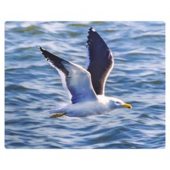 Seagull Flying Over Sea, Montevideo, Uruguay Double Sided Flano Blanket (medium)  by dflcprintsclothing