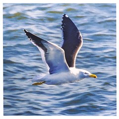 Seagull Flying Over Sea, Montevideo, Uruguay Wooden Puzzle Square by dflcprintsclothing