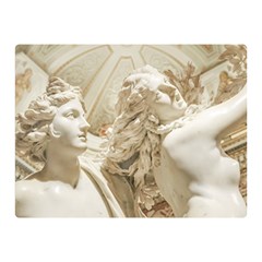 Apollo And Daphne Bernini Masterpiece, Italy Double Sided Flano Blanket (mini)  by dflcprintsclothing