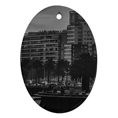 Sunset Coastal Urban Scene, Montevideo, Uruguay Ornament (oval)