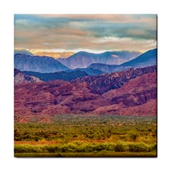 Arid Andean Landscape, La Rioja, Argentina010 Tile Coaster by dflcprintsclothing