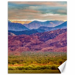 Arid Andean Landscape, La Rioja, Argentina010 Canvas 16  X 20  by dflcprintsclothing