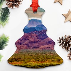 Arid Andean Landscape, La Rioja, Argentina010 Ornament (christmas Tree)  by dflcprintsclothing