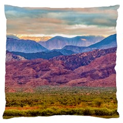 Arid Andean Landscape, La Rioja, Argentina010 Large Flano Cushion Case (two Sides) by dflcprintsclothing