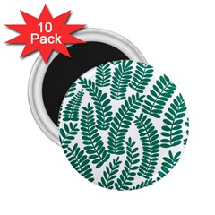 Fern 2 25  Magnets (10 Pack)  by Chromis