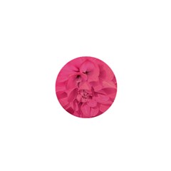 Beauty Pink Rose Detail Photo 1  Mini Buttons by dflcprintsclothing