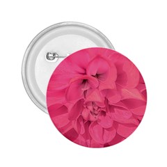 Beauty Pink Rose Detail Photo 2 25  Buttons by dflcprintsclothing