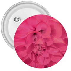 Beauty Pink Rose Detail Photo 3  Buttons by dflcprintsclothing