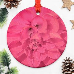 Beauty Pink Rose Detail Photo Ornament (round) by dflcprintsclothing