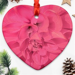 Beauty Pink Rose Detail Photo Ornament (heart) by dflcprintsclothing