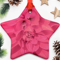 Beauty Pink Rose Detail Photo Ornament (star) by dflcprintsclothing