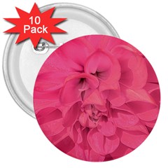 Beauty Pink Rose Detail Photo 3  Buttons (10 Pack)  by dflcprintsclothing