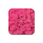 Beauty Pink Rose Detail Photo Rubber Square Coaster (4 pack)  Front