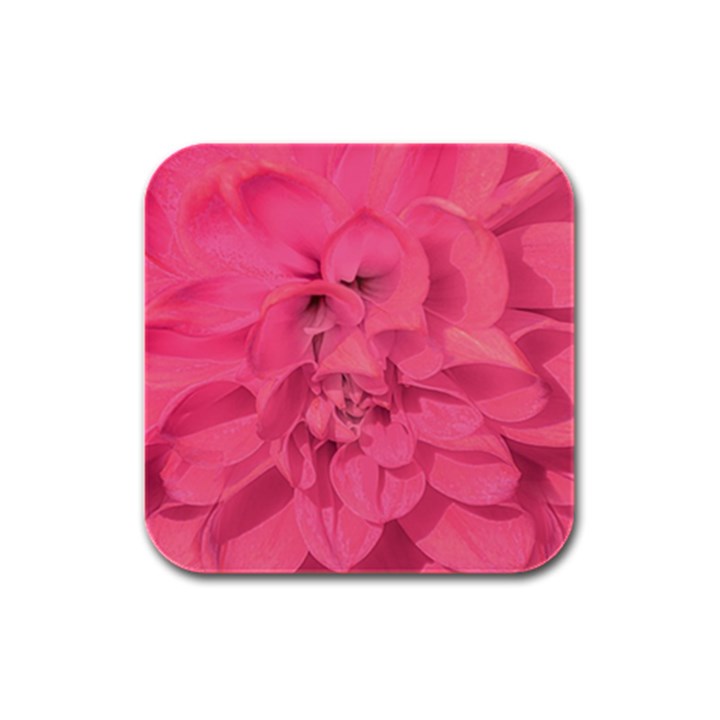 Beauty Pink Rose Detail Photo Rubber Square Coaster (4 pack) 