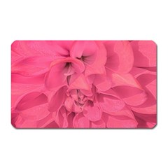 Beauty Pink Rose Detail Photo Magnet (rectangular) by dflcprintsclothing