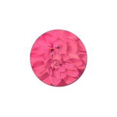 Beauty Pink Rose Detail Photo Golf Ball Marker by dflcprintsclothing