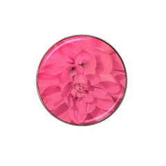 Beauty Pink Rose Detail Photo Hat Clip Ball Marker by dflcprintsclothing