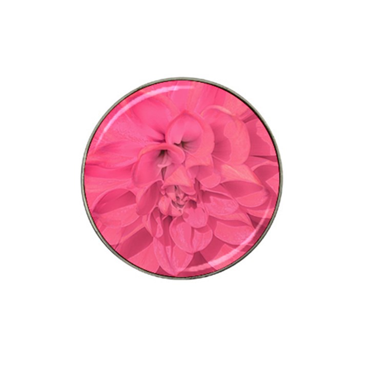 Beauty Pink Rose Detail Photo Hat Clip Ball Marker (4 pack)