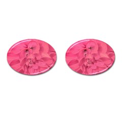 Beauty Pink Rose Detail Photo Cufflinks (oval) by dflcprintsclothing