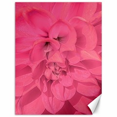 Beauty Pink Rose Detail Photo Canvas 12  X 16  by dflcprintsclothing