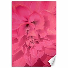 Beauty Pink Rose Detail Photo Canvas 12  X 18  by dflcprintsclothing