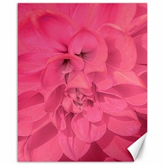 Beauty Pink Rose Detail Photo Canvas 16  X 20  by dflcprintsclothing