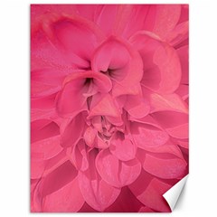 Beauty Pink Rose Detail Photo Canvas 36  X 48  by dflcprintsclothing