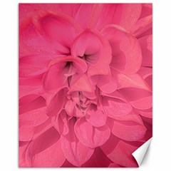 Beauty Pink Rose Detail Photo Canvas 11  X 14  by dflcprintsclothing