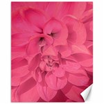 Beauty Pink Rose Detail Photo Canvas 11  x 14  10.95 x13.48  Canvas - 1