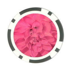 Beauty Pink Rose Detail Photo Poker Chip Card Guard (10 Pack)