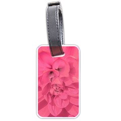 Beauty Pink Rose Detail Photo Luggage Tag (one Side) by dflcprintsclothing